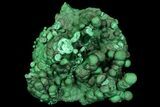 Beautiful Malachite Stalactite Cluster - Congo #92884-2
